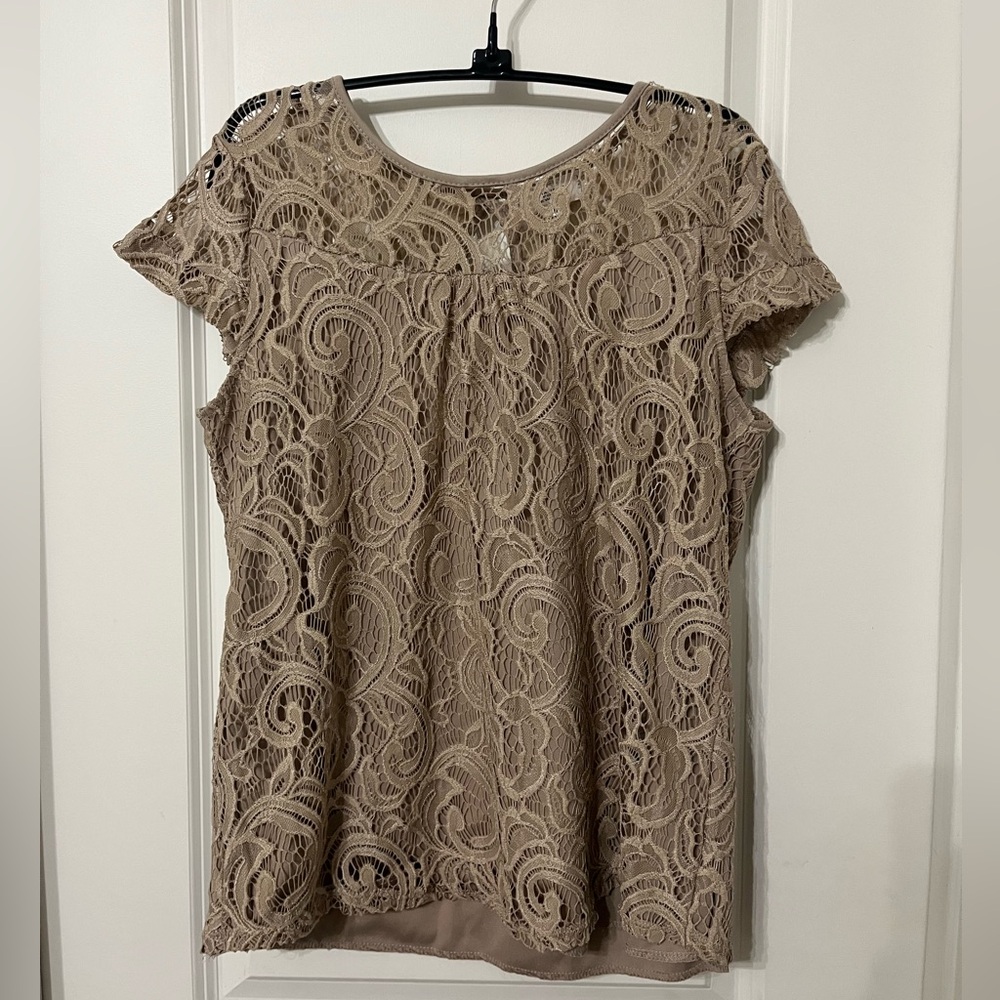 Elegant Lace Top in Tan